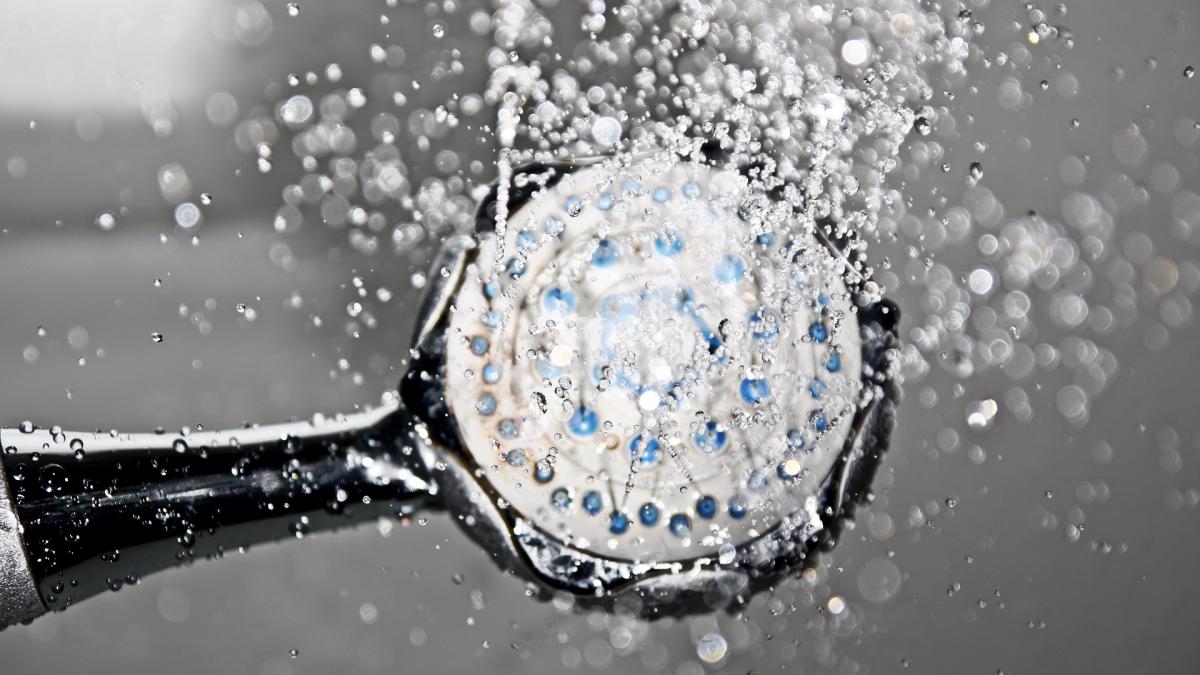 The bacteria in your shower Environmental & Occupational Health Sciences